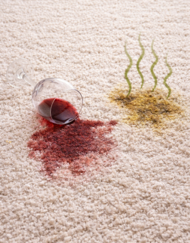 stained stinky carpet stained stinky carpet